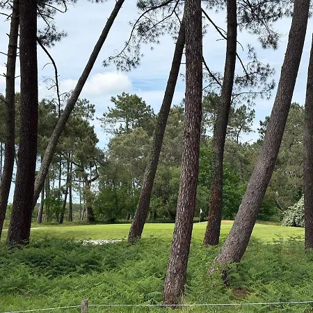 Maison Avec Vue Golf 8 Pers Avec Piscine * Gujan-Mestras